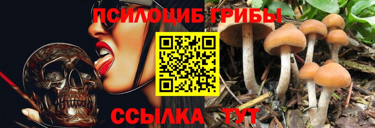 Галлюциногенные грибы прущие грибы  Вход с VPN  Котельники 